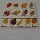 Kathfly 2 Pieces Leaf Wooden Jigsaw Puzzles Leaf Puzzle Montessori Gift Early Educational Learning for Birthday Gift Early Education Materials(Cute)