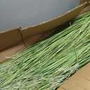 4 Pack 4 ft Tall Artificial Grass Plant Fake Pampas Grass in Pot Large Faux Floor Plants Potted Artificial Greenery for Indoor Outdoor Garden Home Bathroom Office Room Housewarming Wedding Decoration