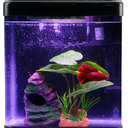 Betta Fish Tank Self Cleaning Glass 2 Gallon Small Nano Aquarium Starter Kits Desktop Room Decor
