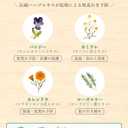 Weleda Italia Srl - Skin Moisturizer, 2.53 Fl Oz, Chamomile, Pack of 1