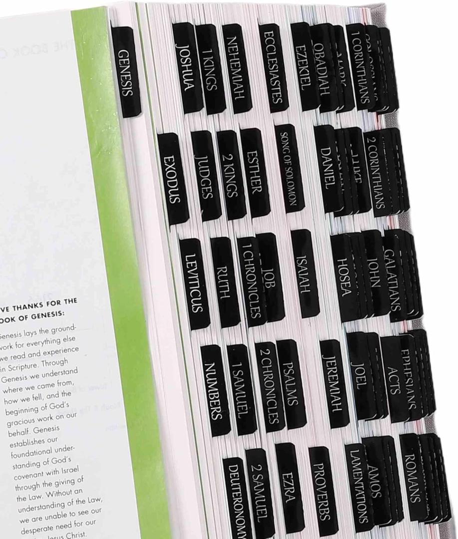 Catholic Reposition Large Text Bible Tabs, Catholic Bible Stickers for Women and Men, Easy to Read and Apply Bible Journaling Tabs (Catholic Black)