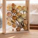 JOSON Wooden Dried Flower Photo Frame Dried Flower Display Stand Decorative Floating Photo Frame8 * 10''-primary color