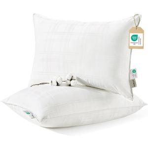 Bedsure Fluffy Bed Pillows for Sleeping - Luxury Queen Size Pillows Set of 2 with 100% Cotton Breathable Cover, Soft & Supportive Hotel Quality Filling for Side, Stomach, Back Sleeper