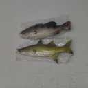Nexboraque 2 Pack Fake Fish, 11 Inch Artificial Fish Models Simulated Pretend Realistic Fish Lifelike Sea Fish for Party Display, Kitchen Decor, Photography Props