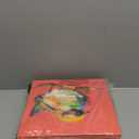 Colorful Eclectic Bird Wall Art, Maximalist Wall Decor Aesthetic for Bedroom, Funky Bird Canvas Art Prints, Dopamine Wall Decorations, Colorful Artwork Posters for Living Room 12"X12"X4 Panels