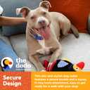 The Dodo Cork Dog Collar, Stripe, Size Large; Cork Material Collar for Dogs, Everyday Pet Apparel; Adjustable Snap Together, Pinch Release Buckle Collar (Blue)