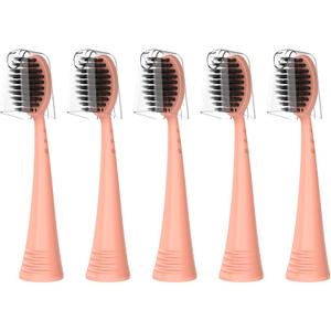 Replacement Toothbrush Heads with Covers for Burst (5 Count, Rose Gold) Replacement Toothbrush Heads with Covers for Burst (5 Count, Rose Gold)