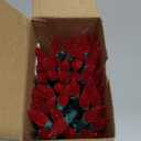 Joiedomi C6 Red & White Christmas Lights, 100 LED Steady On Strawberry Lights, 33.66 FT Connectable Christmas String Lights for Indoor Outdoor Party Home Yard Xmas Tree House Decorations, Green Wire