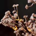 Hairui Artificial Baby Breath Flowers Tree with Lights 5FT 126LED,Prelit Lighted Gypsophila twig Tree for Wedding Party Christmas Holiday Decoration Indoor Outdoor Use