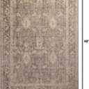 Loloi Chris Loves Julia Rosemarie 2'-7" x 4' Accent Rug in Sage/Blush - Classic No-Shed, Soft Living Room Rug, Antique Inspired Modern for Living Area, Bedroom, Dining Room