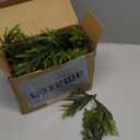 MINDELF 6 FT Christmas Garland with Lights, Battery Operated PreLit Pine Cone Greenery, 20 Warm LEDs Artificial Xmas Decor with Timer, Holiday Decoration for Indoor Mantel Staircase Doorway Window