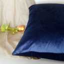 Artcest Set of 2, Cozy Solid Velvet Throw Pillow Case, Decorative Couch Cushion Cover, Soft Sofa Euro Sham with Zipper Hidden, 16"x16" (Royal Blue)