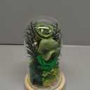 Preserved Roses & Fresh Flowers Bouquet  Gift for Women, Roses That Last Forever, Flowers for Delivery Prime, Green Roses  Birthday, Mothers Day & Christmas