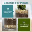 1-2mm Coarse Sand for Plants, 6lb Horticultural Sand for Succulents, Desert Silica Sand for Cactus, Vases, Aquariums, Terrarium, Fish Tank, Drainage Rocks for Potted Plants, Bamboo, Crafts (EXP 12/31/26)