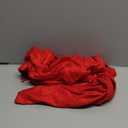 TZ Promise Pashmina Large Soft Plain Shawl/Wrap/Scarf for Women (Red)