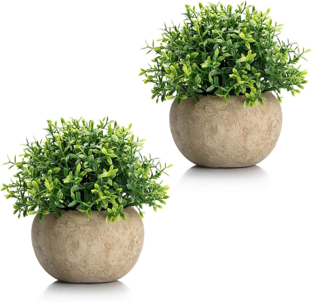 Velener 2Pcs Mini Artificial Boxwood Topiary Faux Plants Indoor- Small Fake Plants Decor Magnolia Home Office Desk Cubicle Farmhouse Kitchen Bookshelf Bedroom Bathroom Decor, Aloe Vera Zen Garden