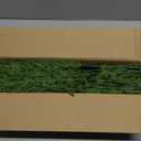 Artificial Christmas Norfolk Pine Stems Branches for Vases,12 Bundles Fake Pine Stems with 2 PCS Small Pinecones Branches Faux Evergreen Real Touch Greenery for Xmas Holiday Winter Table Indoor Decor