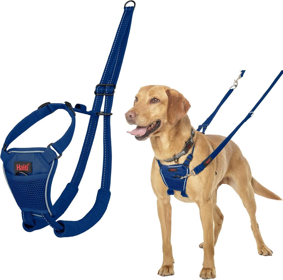Halti No Pull Harness - Stop Your Dog Pulling on The Leash. Adjustable, Lightweight and Easy to Use. Reflective Dog Training Harness for Medium Dogs (Size M, Cobalt Blue)