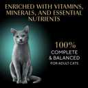 Sheba Perfect Portions Wet Cat Food Cuts in Gravy Variety Pack, Roasted Chicken Entree and Tender Turkey Entree, 2.6 oz. Twin-Pack Trays (12 Count, 24 Servings)