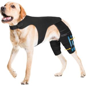 Dog Knee Brace for Torn Acl Hind Leg, Adjustable for Back Leg with 4 Stabilizers, Hip Support to Reduces Pain, & Luxating Patella for Small Medium Large Dogs (Solid Black, XL)