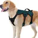 rabbitgoo Escape Proof Dog Harness, Soft Padded Full Body Pet Harness, Reflective Adjustable No Pull Vest with Lift Handle and Leash Clip for Large Dogs Walking Hiking Training, Dark Green, L (Large (Pack of 1))