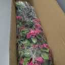 5 Feet Artificial Bougainvillea Tree with Flowers in Plastic Pot Faux Blooming Tree for Decor Indoor or Outdoor Home Office, 1 PCS