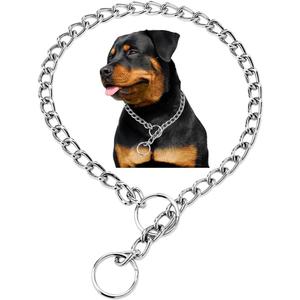 Silver Dog Chain,Metal Slip Link P Chain Training Heavy Duty Male Boys Martingale Collar Female Girls Puppy Collars for XXS XS Small Medium Large Big Breed, (L(Neck Max 20inch)D3.5mm)