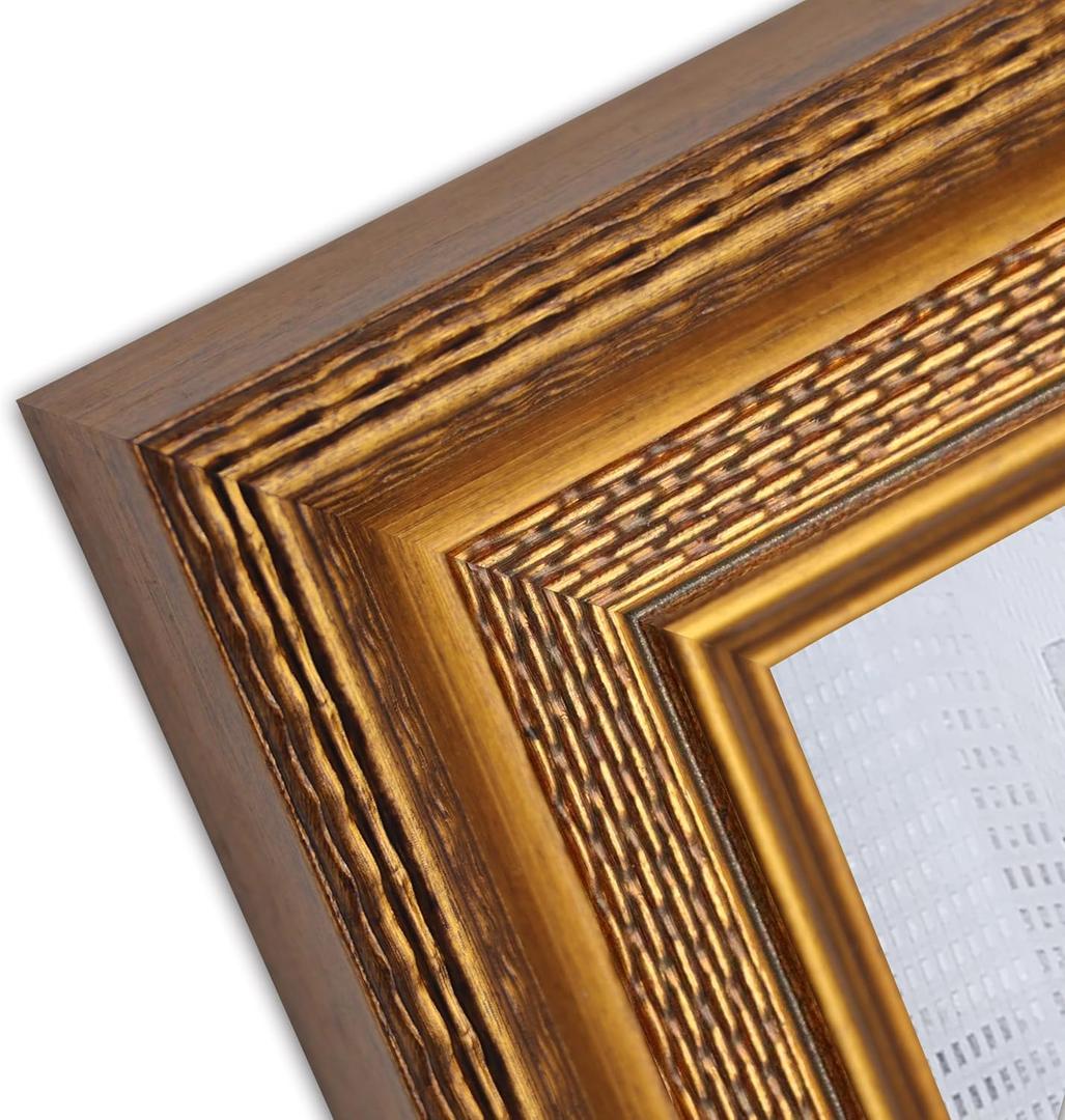 16x20 Antique Gold Custom Poster Frame with Economy Acrylic & Backing