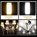 2 Pack E11 LED Bulb Not-Dimmable Mini Candelabra Bulbs/for Ceiling Fan, Chandelier Lighting, Pendants, Table Lamps,S3108 Replacement Q75CL/MC -JD T4 E11 Mini Candelabra Base (Cool White)