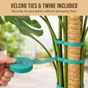 Craft911 Moss Pole Monstera Plant Support 2 Pack 28 Bendable Moss Pole Monstera Plant Support, Plant Stakes for Indoor Plants, Tall Plant Sticks Support for Climbing Plants