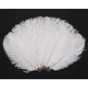 Hollosport 30PCS Bulk White Ostrich Feathers 10-12 Inches for Centerpieces Party Wedding Home Decorations Dream Catchers Vases Crafts Christmas Tree (White)