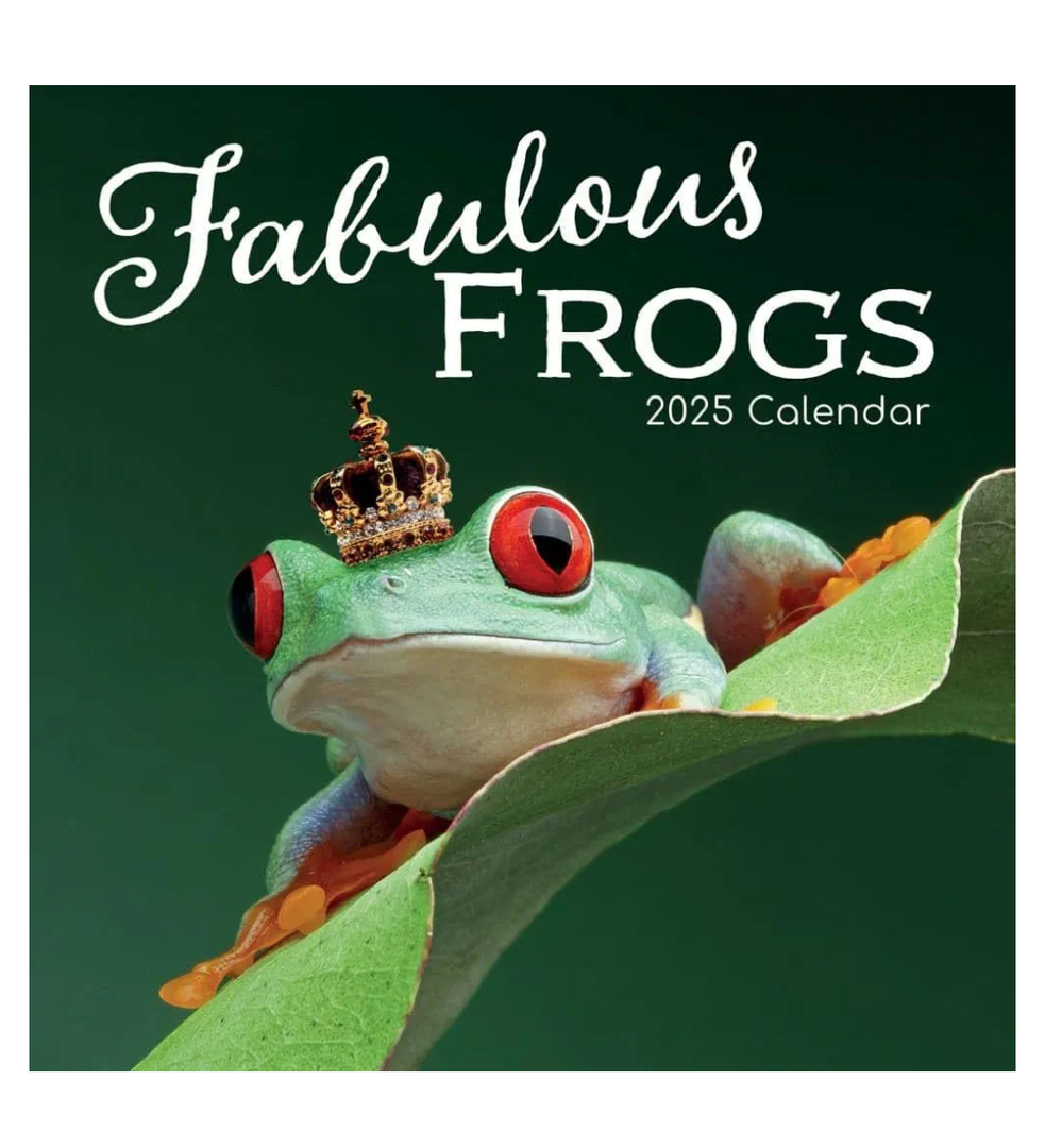 Gifted Stationery Co, Fabulous Frogs 2025 Wall Calendar