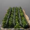Bynbbur Artificial Hedge Wall 54" Lx36 Hx12 W Boxwood Hedges Outdoor Patio Greenery Walls, Fake Grass Privacy Wall Screens, Office Living Room Divider, Wedding Party Dcor