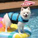 Doglay Dog Life Jacket with Rescue Handle, Dog Life Vest for Swimming Boating, Adjustable Reflective Puppy Swim Vest with Superior Buoyancy for XXS Dogs