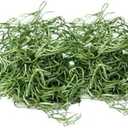 Serene Spaces Living Preserved Green Spanish Moss – Natural Decorative Moss for Planters, Crafts, Floral Arrangements, Terrariums & Event Décor, 8 Ounce Bag