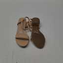 DREAM PAIRS Women Black White Nude Clear Sandals Low Heel Dressy Sandals Ankle Strap Open Toe Chunky Block Heeled Summer Classic Comfortable Flat Shoes (8.5)  Nude Classic