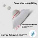 MIULEE 24x24 Pillow Inserts, Down Alternative Pack of 2 Euro Decorative Throw Pillows for Sofa Couch Bed, Ultra Soft Fluffy Bed Sleeping Form