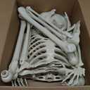 5.4 ft Posable Halloween Skeleton Decorations,Human Bones for Halloween Party with Movable Joints,for Haunted Houses, Front Lawn, Graveyard Props