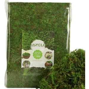 USMOLA Fake Moss for Potted Plants Indoor, 2LBS Large Capacity Artificial Green Moss for DIY Crafts, Faux Moss for Table Centerpieces Fairy Garden Terrariums Decor (32OZ)