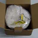 Bedsure GentleSoft White Throw Blanket for Couch - Cozy Blanket for Women, Cute Fleece Throws for Girls, Birthday Gifts for Women Teens, Room Home Boho Halloween Fall Decor, Off White, 50x60 Inches