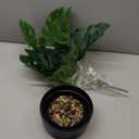 Hidden Litter Box with Faux Plant, Large Cat Litter Box with Rattan Pattern, Heavy Duty PP Material Litter Box Enclosure Furniture for Home Decor, Black