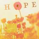 Hallmark Spiritual Easter Card (Love, Light, Hope) for Friends, Neighbors, Siblings