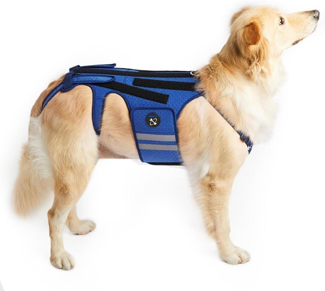 Coodeo Dog Back Brace for Dogs Arthritis, Pet Back Bracer for IVDD, Back Protector Helps Pain Relief, Surgical Recovery and Rehabilitation, Dogs Back Disease Prevention. (Blue,Large)