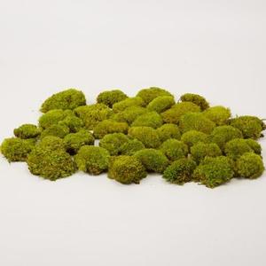 Prefleur Preserved Pole Moss Pillow Bun Cushion Natural Green Decorative Real Natural Green DIY Kit Gardenning Art Wall Decor Florist Decor Easter Table Decor Wedding (1.5 sq.ft, Green-D)