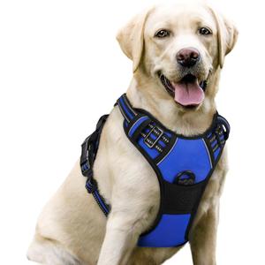 rabbitgoo Dog Harness No Pull with 2 Leash Clips, Adjustable Soft Padded, Reflective Oxford No Choke Pet Vest with Easy Control Handle for Large Dogs, Dazzling Blue, L