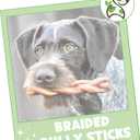 Nature Gnaws Braided Bully Sticks for Dogs 5-6" (10 Count) - Long Lasting for Small and Medium Dogs - Natural Beef Dog Chew Bones - Rawhide Free (EXP 08/01/25)