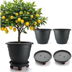 RooTrimmer 3 Pack 16 Inch Large Plant Pots with Rolling Saucers & Drainage Holes,Heavy Duty Plastic Planters for Indoor Outdoor Plants,Large Flower Pots with Wheels for Tall Plants(Black)