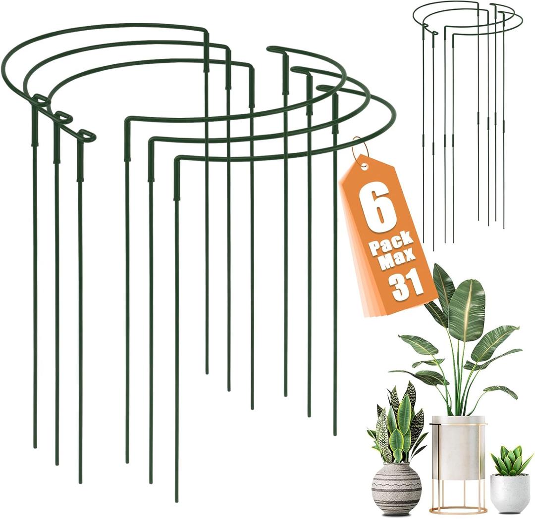 Detachable Plant Support Stakes 6 Pack, Half Round Garden Stake, Plant Stakes Cage Metal Ring Border for Indoor & Outdoor Plants, Peony, Tomato, Hydrangea(10" W x 16"-31" H)