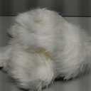 Kopal Genuine Australian Sheepskin Rug, Real Lambskin Area Rug, 2x3 ft Single Pelt, Natural White