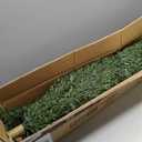 47" Artificial Cypress Topiary Cedar Topiaries for Indoors & Outdoor UV-Resistant Rated with Spike. Easy to Push in The Ground 4FT Home Garden Decor Set of 2